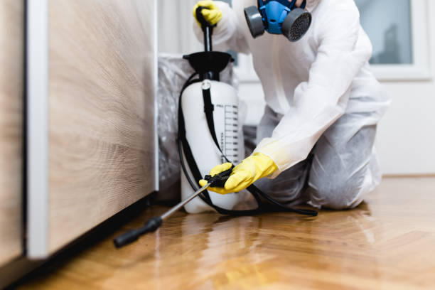 Best Pest Control Near Me in Kennett Square, PA