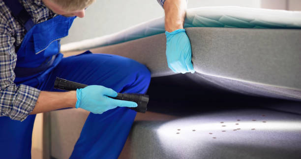 Best Affordable Pest Control Services  in Kennett Square, PA