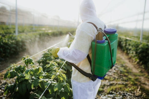 Professional Pest Control in Kennett Square, PA